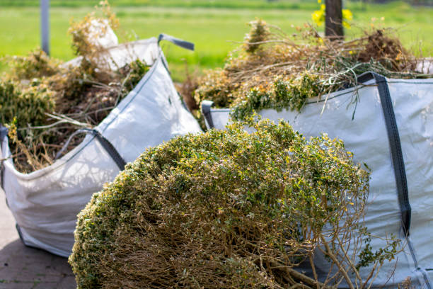 Professional Junk Removal Services in Oglesby, IL